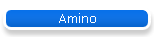 Amino