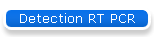 Detection RT PCR