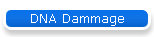 DNA Dammage