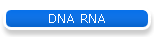 DNA RNA