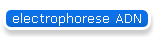 electrophorese ADN