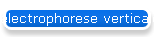electrophorese verticale