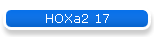 HOXa2 17
