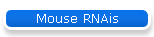 Mouse RNAis