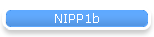 NIPP1b