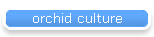 orchid culture