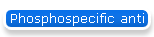 Phosphospecific anti