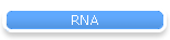 RNA