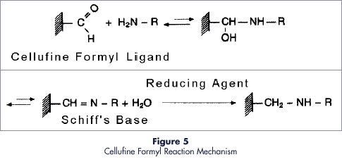Figure5