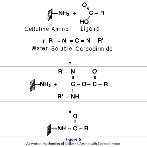 Figure6
